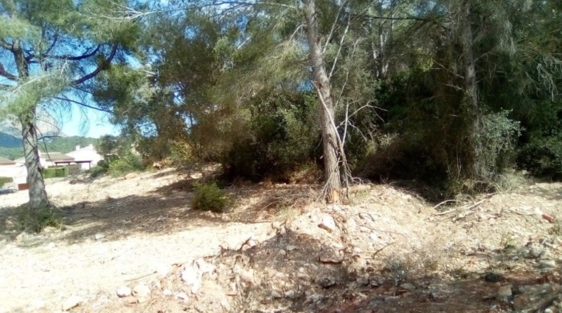 Alicante - Denia - 1774m2