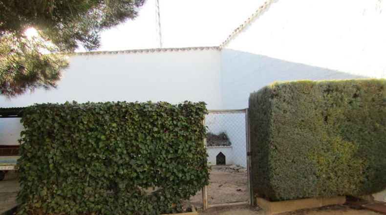 Ciudad Real - Valdepeñas - 1500m2