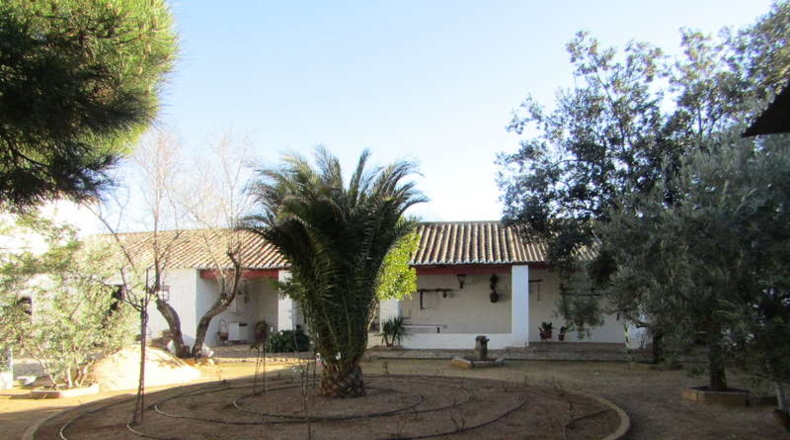 Ciudad Real - Valdepeñas - 1500m2