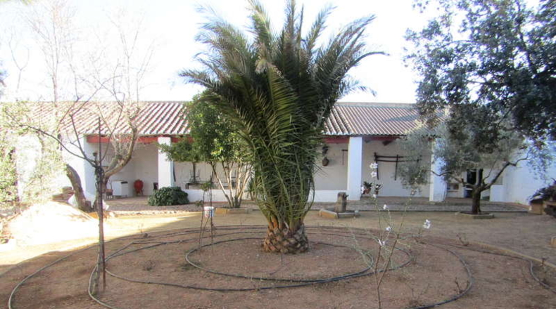 Ciudad Real - Valdepeñas - 1500m2