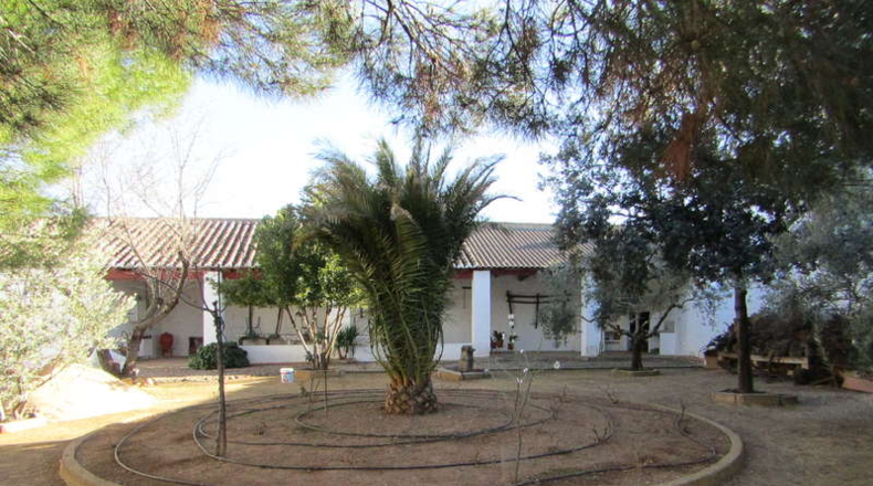 Ciudad Real - Valdepeñas - 1500m2