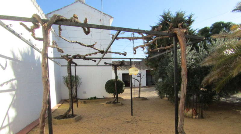Ciudad Real - Valdepeñas - 1500m2