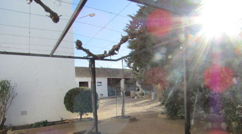 Ciudad Real - Valdepeñas - 1500m2