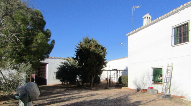 Ciudad Real - Valdepeñas - 1500m2