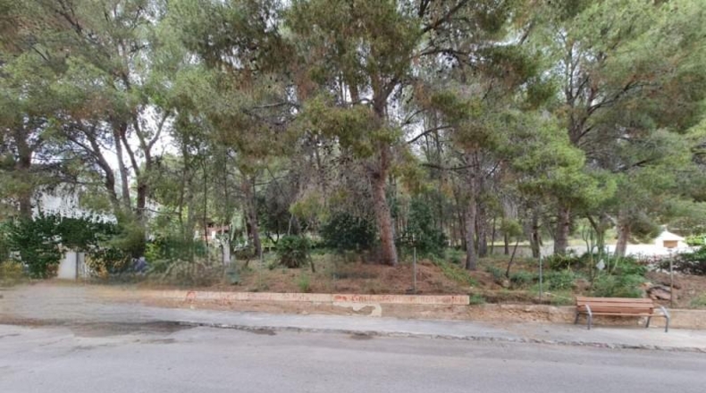 Castellón - Benicasim - 817m2