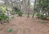 Suelo urbano en venta en la España, Benicasim, ref: TR114726 foto