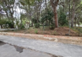 Suelo urbano en venta en la España, Benicasim, ref: TR114726 foto