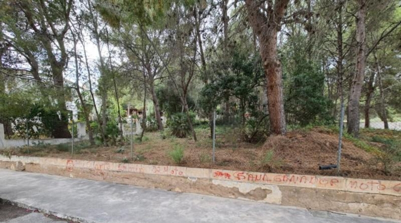 Castellón - Benicasim - 817m2