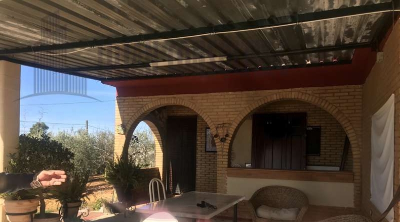Sevilla - Sevilla - 2500m2