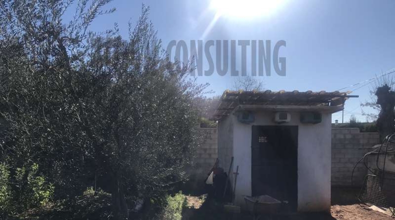 Sevilla - Sevilla - 2500m2