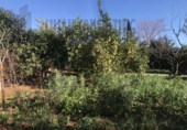 Xalet independent amb terreny en venda a la España, Sevilla, ref.: TR147830 foto