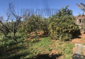 Xalet independent amb terreny en venda a la España, Sevilla, ref.: TR147830 foto