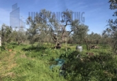 Xalet independent amb terreny en venda a la España, Sevilla, ref.: TR147830 foto