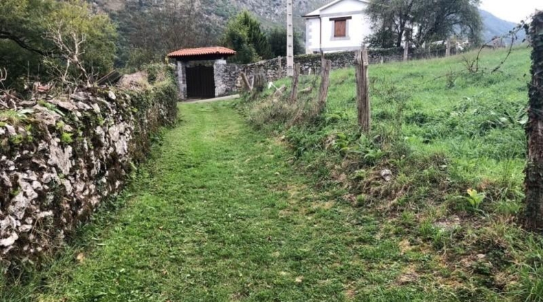 Cantàbria - Arredondo - 1612m2