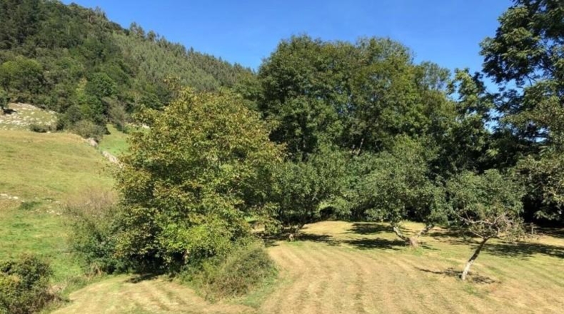 Cantàbria - Arredondo - 1612m2
