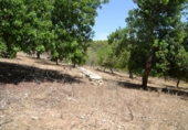 Chalet independiente con terreno en venta en la España, Campanet, ref: TR135304 foto