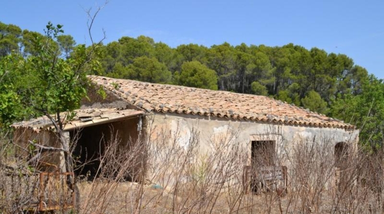 Islas Baleares - Campanet - 14260m2