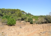 Chalet independiente con terreno en venta en la España, Campanet, ref: TR135304 foto