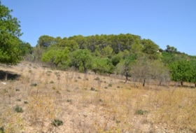 Foto 16