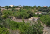 Chalet independiente con terreno en venta en la España, Campanet, ref: TR135304 foto