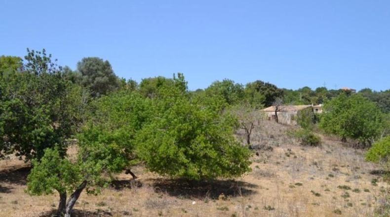 Islas Baleares - Campanet - 14260m2