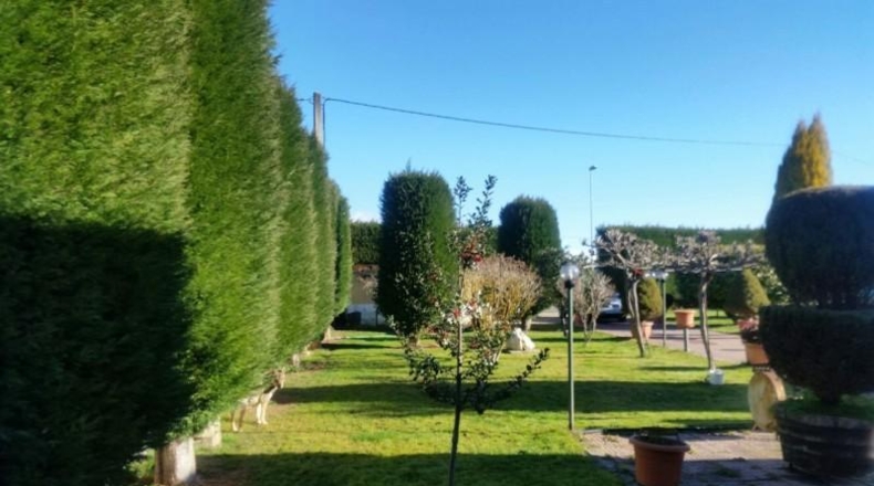 León - Cabañas Raras - 1700m2
