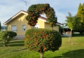 Casa de camp amb terreny en venda a la España, Cabañas Raras, ref.: TR136485 foto