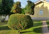 Casa de camp amb terreny en venda a la España, Cabañas Raras, ref.: TR136485 foto
