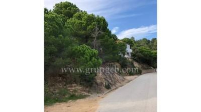 Gerona - Lloret de Mar - 850m2