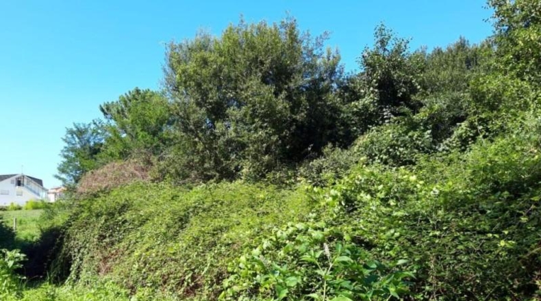 Pontevedra - Porriño - 1279m2