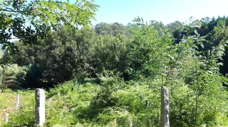 Pontevedra - Porriño - 1279m2