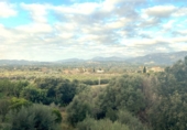 Urban land for sale on España, Campanet, ref: TR118578 photo