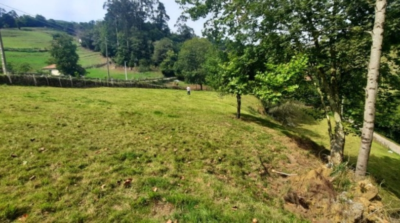 Cantàbria - Arredondo - 4533m2