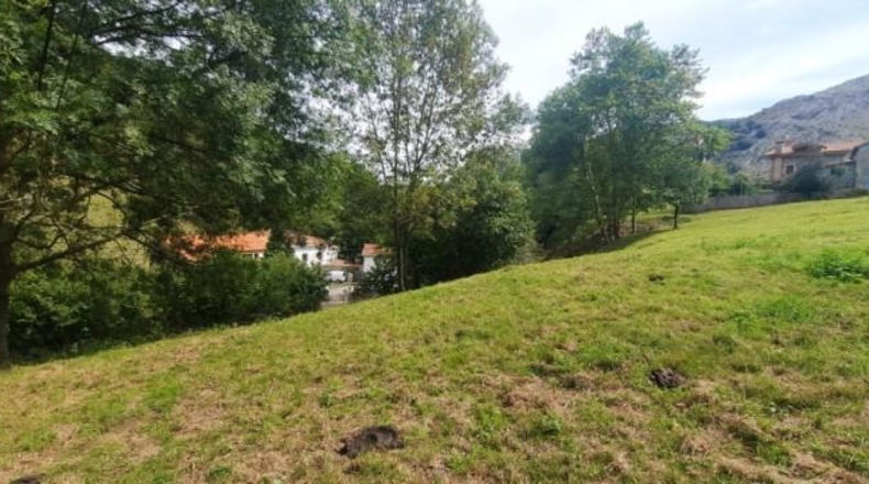 Cantàbria - Arredondo - 4533m2