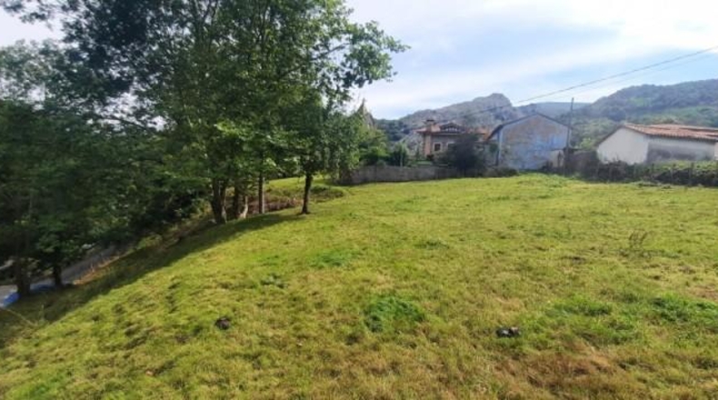 Cantàbria - Arredondo - 4533m2