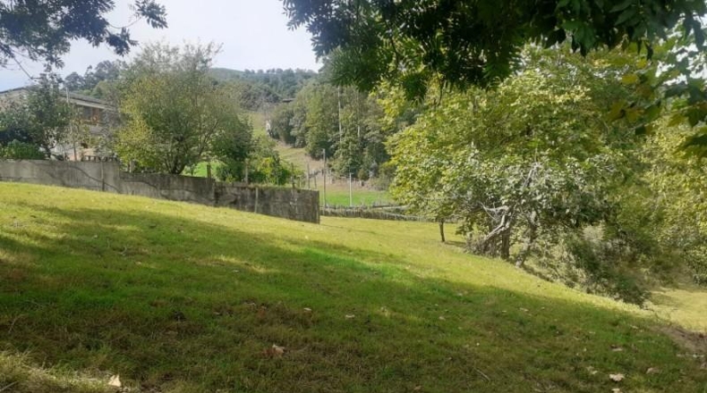 Cantàbria - Arredondo - 4533m2