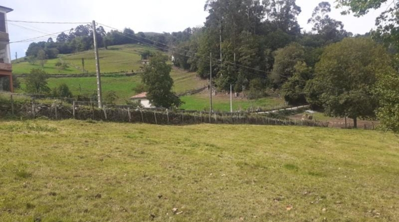 Cantàbria - Arredondo - 4533m2
