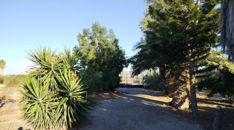 Murcia - Puerto Lumbreras - 4900m2