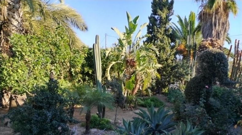 Murcia - Puerto Lumbreras - 4900m2