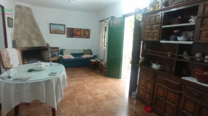 Cádiz - Benaocaz - 6400m2
