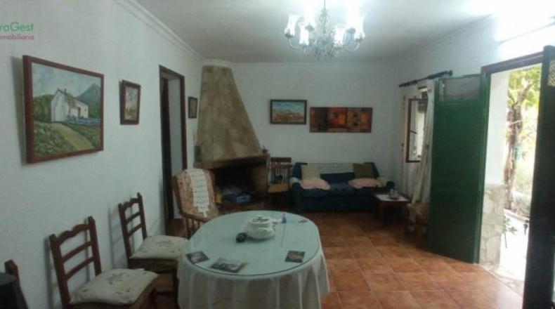 Cádiz - Benaocaz - 6400m2