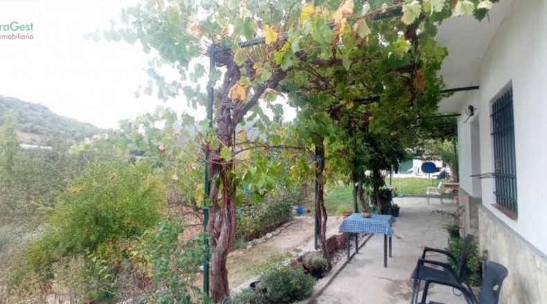 Cádiz - Benaocaz - 6400m2