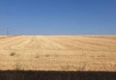 Земля на продажу у города Aldeatejada Фото