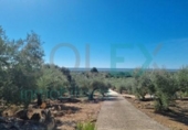Casa de camp amb terreny en venda a la España, el Perelló, ref.: TR298625 foto