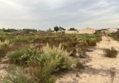 Terreno no urbanizable en venta en la España, Elche, ref: TR119547 foto