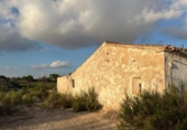 Terreno no urbanizable en venta en la España, Elche, ref: TR119547 foto