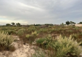 Terreno no urbanizable en venta en la España, Elche, ref: TR119547 foto
