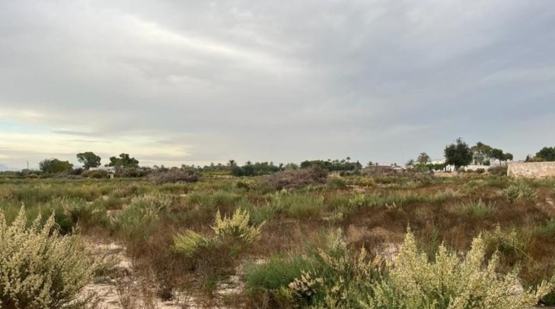 Alicante - Elche - 12000m2