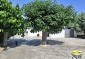 Casa de poble en venda a la España, Alcover, ref.: TR318643 foto
