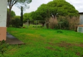 Casa de camp amb terreny en venda a la España, Puerto Real, ref.: TR373072 foto